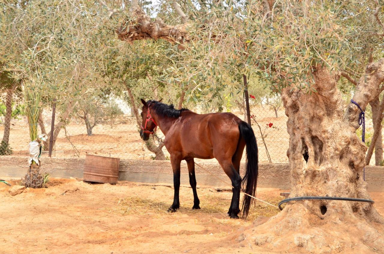 Hotel Ranch Tanit Djerba à Midoun Extérieur photo