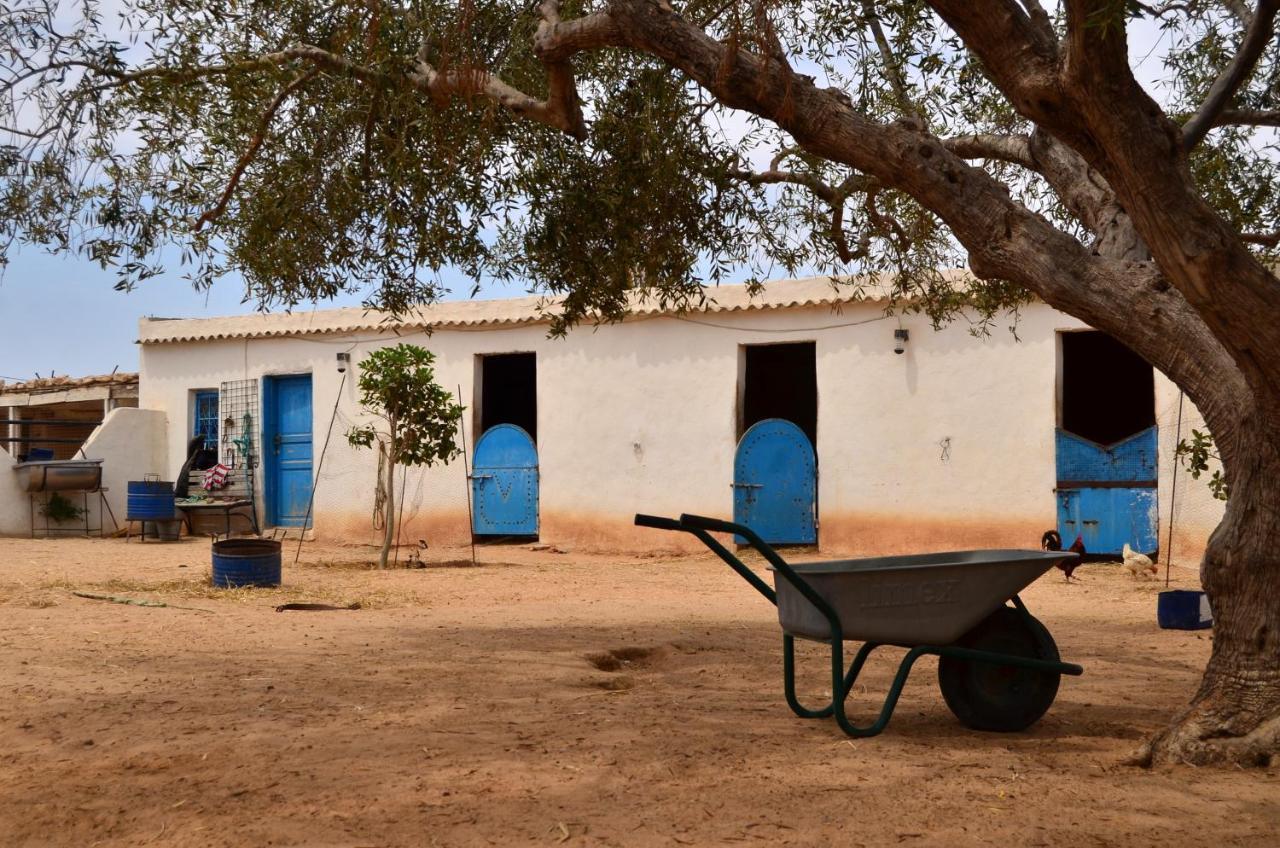 Hotel Ranch Tanit Djerba à Midoun Extérieur photo