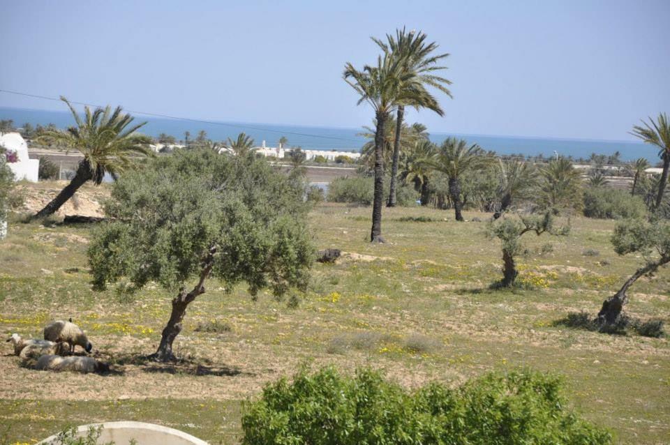 Hotel Ranch Tanit Djerba à Midoun Extérieur photo